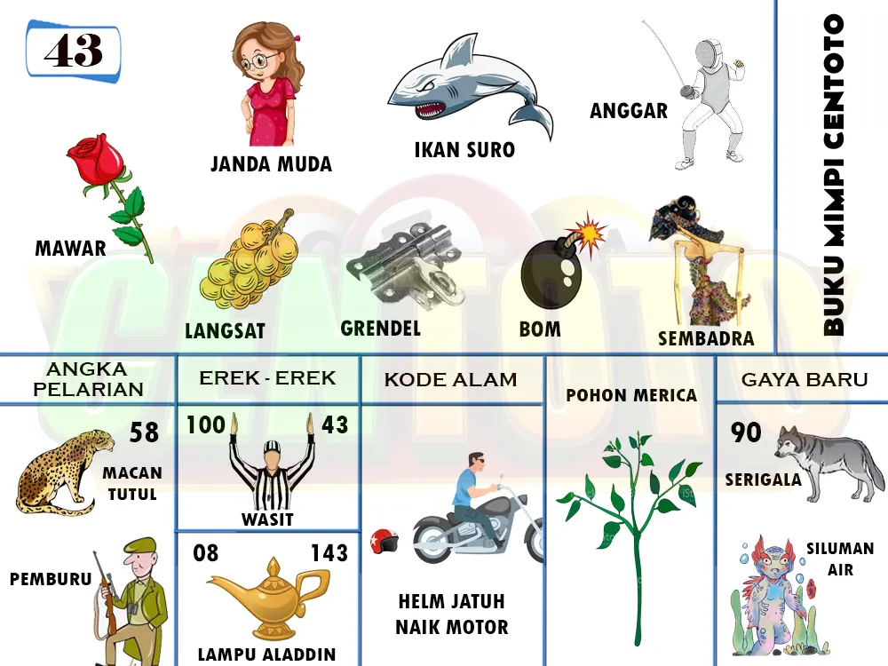 buku mimpi erek erek togel 43